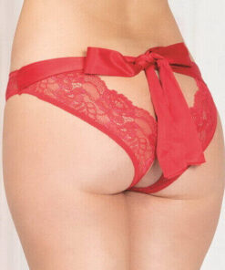 Red Mesh & Lace Open Crotch Panty