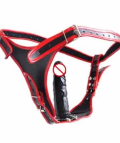 Black + Red color Panties with Black vagina Dildo (13cm long) BRCSOD-027